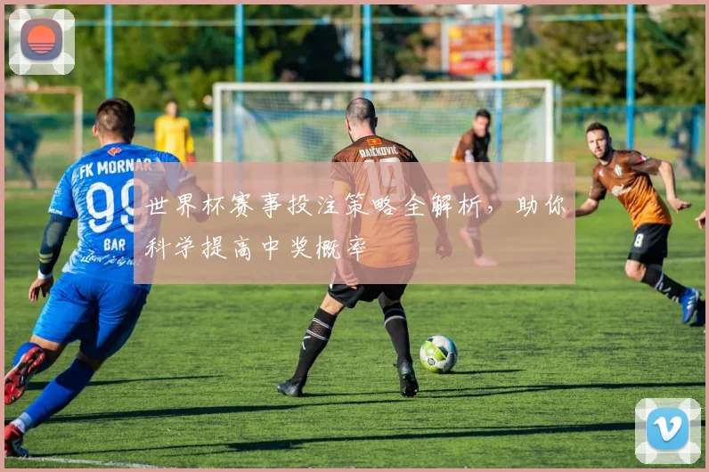 世界杯赛事投注策略全解析，助你科学提高中奖概率