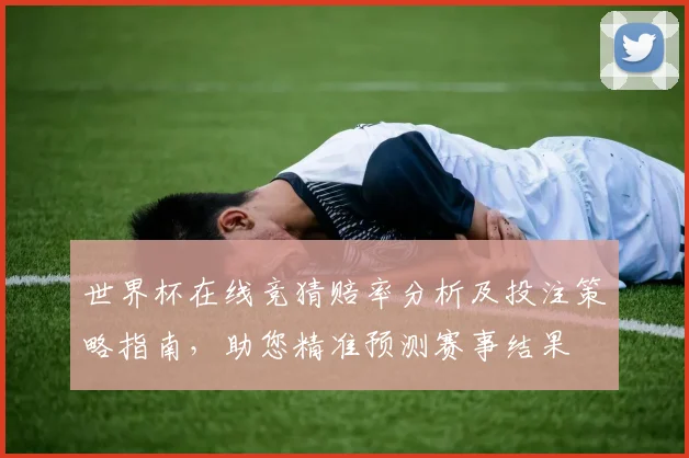 世界杯在线竞猜赔率分析及投注策略指南，助您精准预测赛事结果