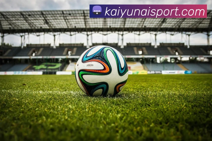 开云平台展示图